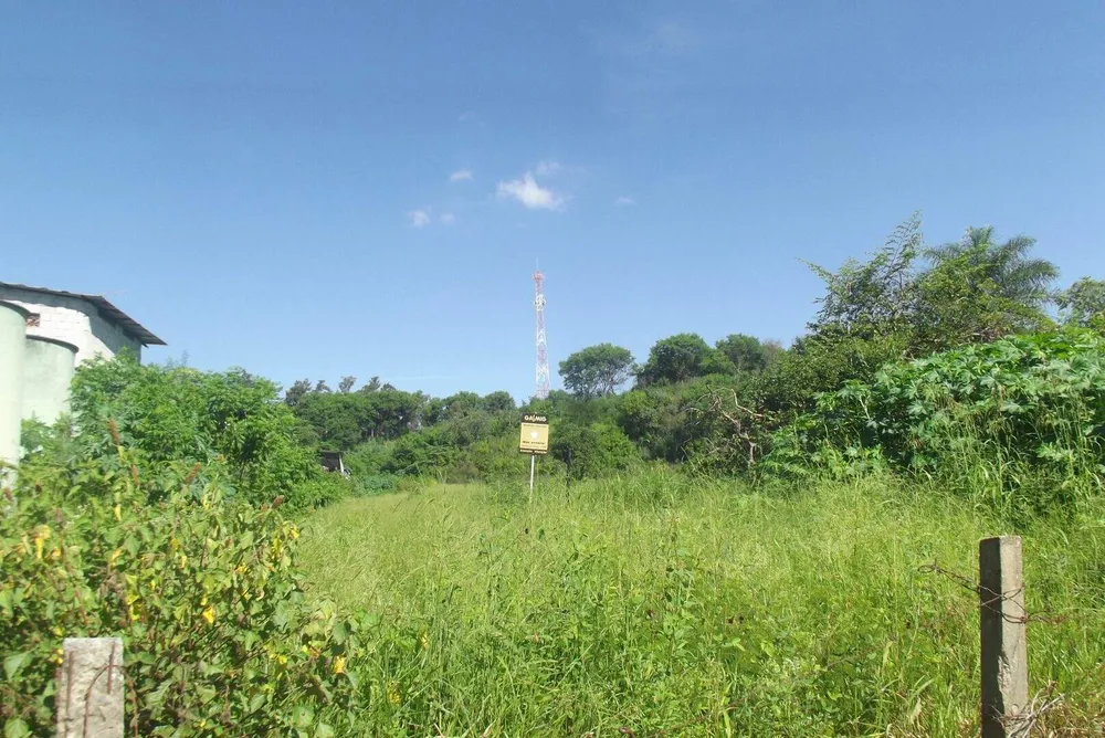 Terreno, 4 hectares - Foto 16