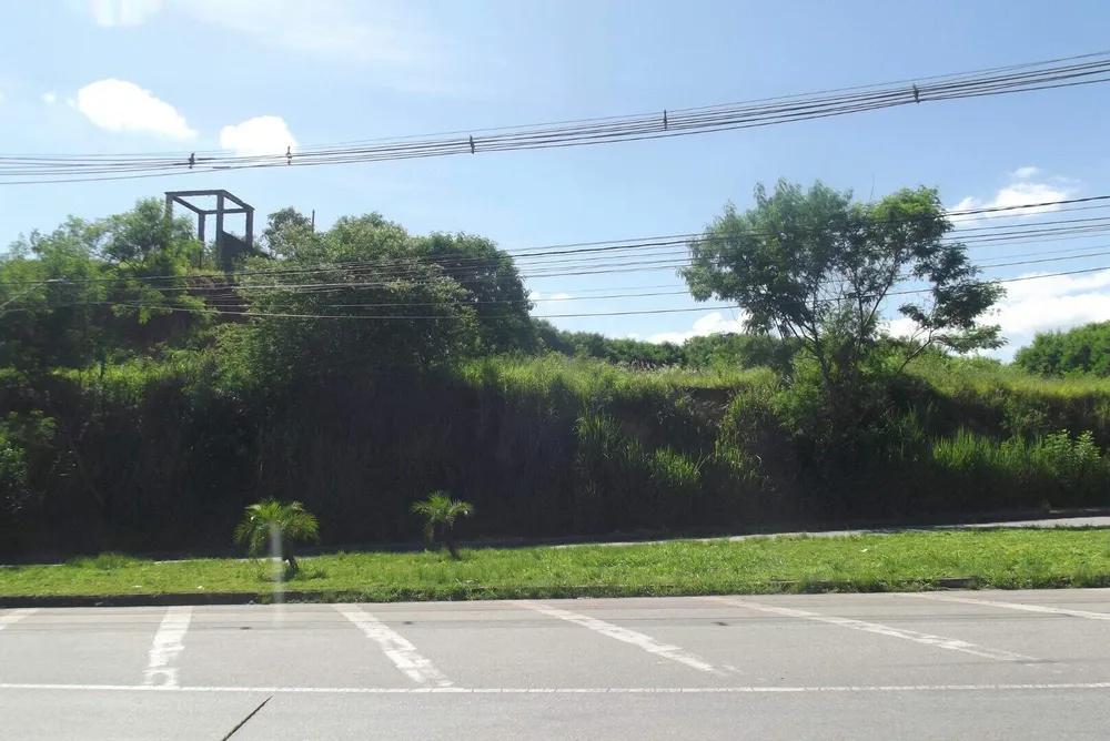 Terreno, 4 hectares - Foto 8