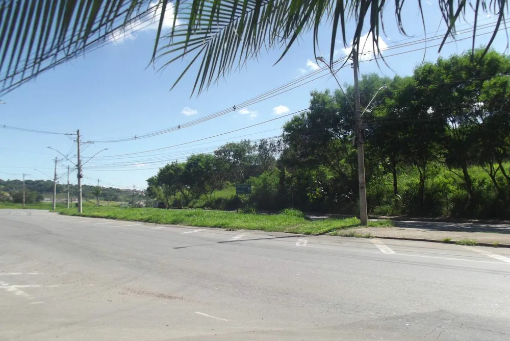 Terreno, 4 hectares - Foto 6