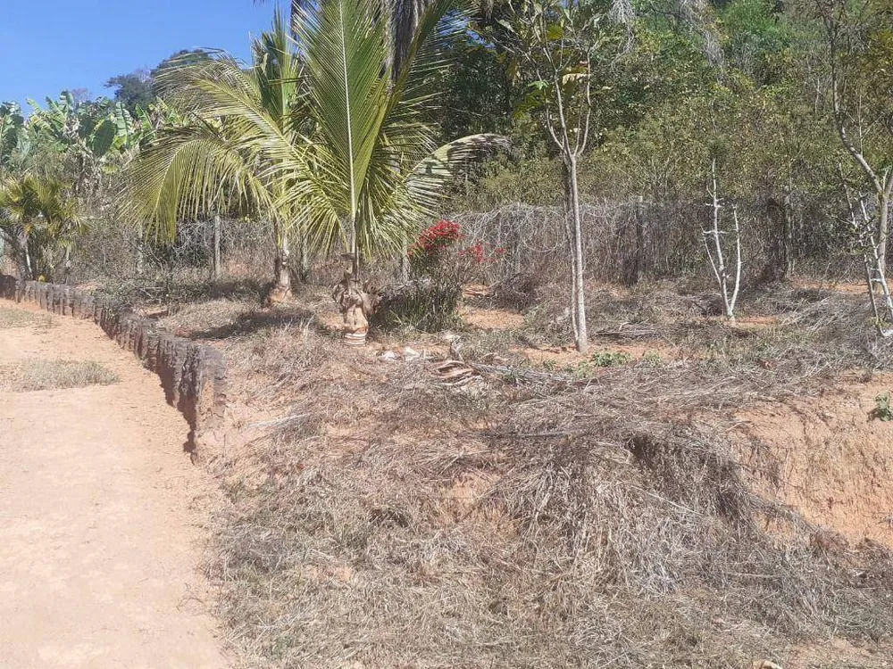 Terreno, 40000 m² - Foto 8
