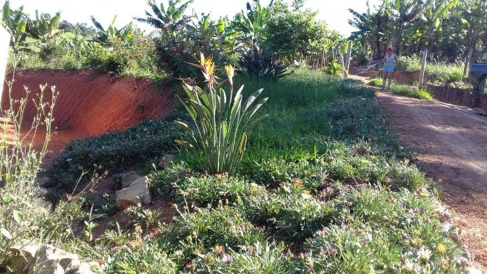Terreno, 40000 m² - Foto 12