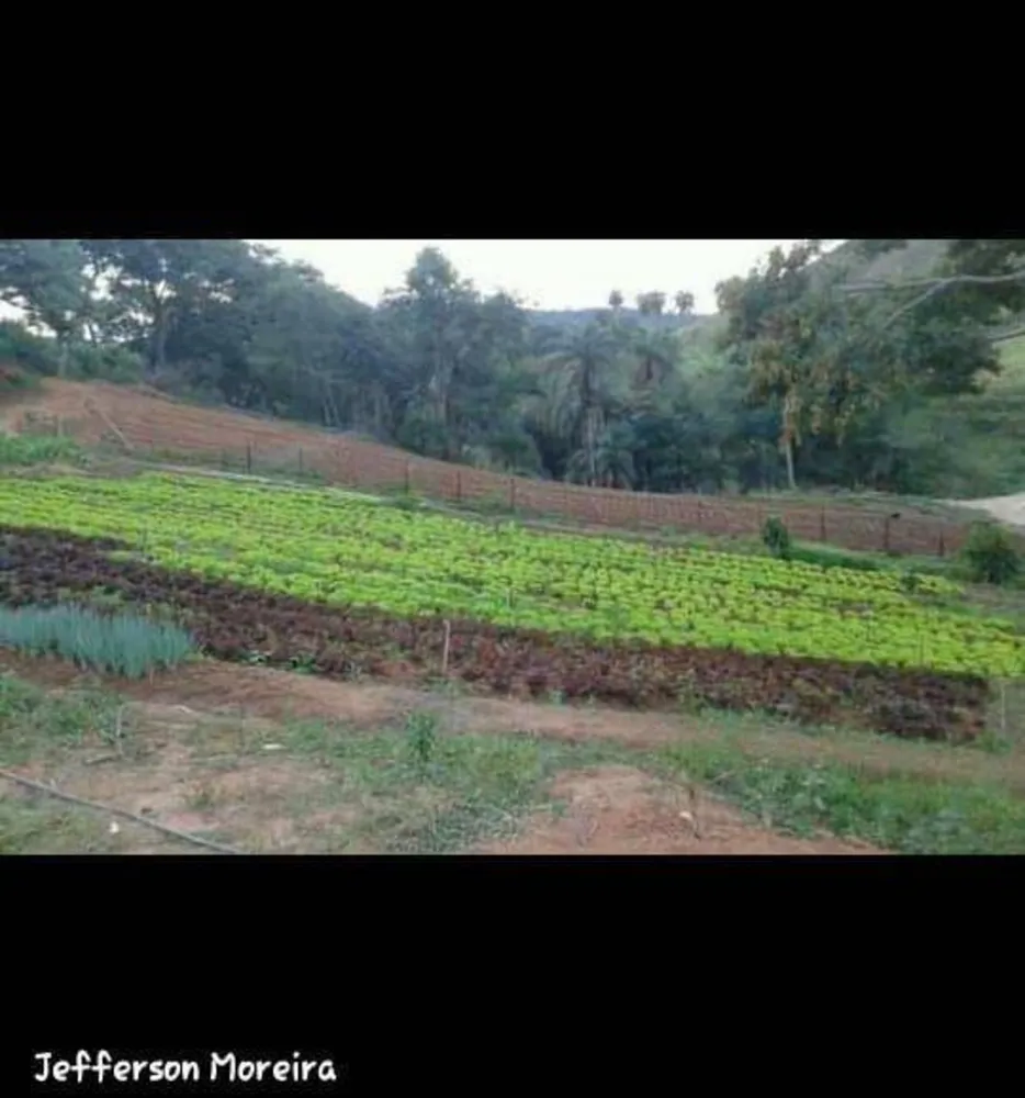 Terreno, 40000 m² - Foto 3