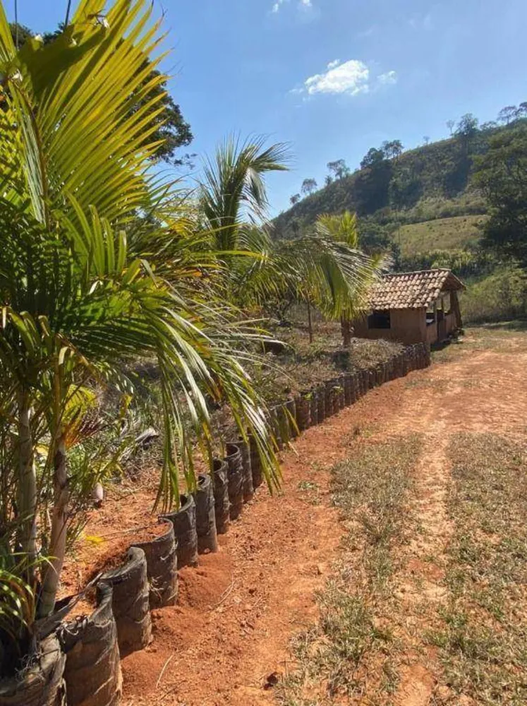 Terreno, 40000 m² - Foto 7