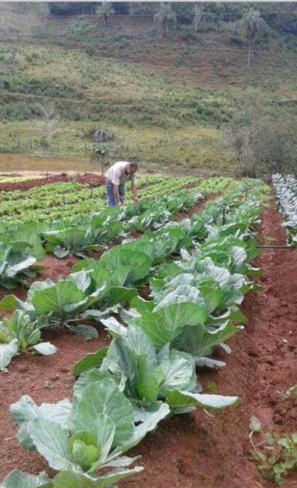 Terreno, 40000 m² - Foto 1