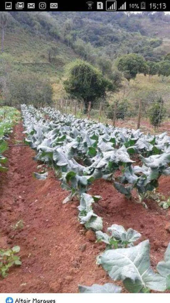 Terreno, 40000 m² - Foto 10