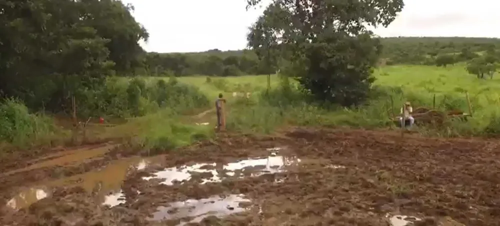 Fazenda, 1471 hectares - Foto 17