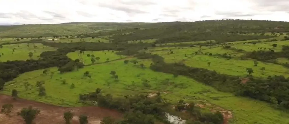 Fazenda, 1471 hectares - Foto 15