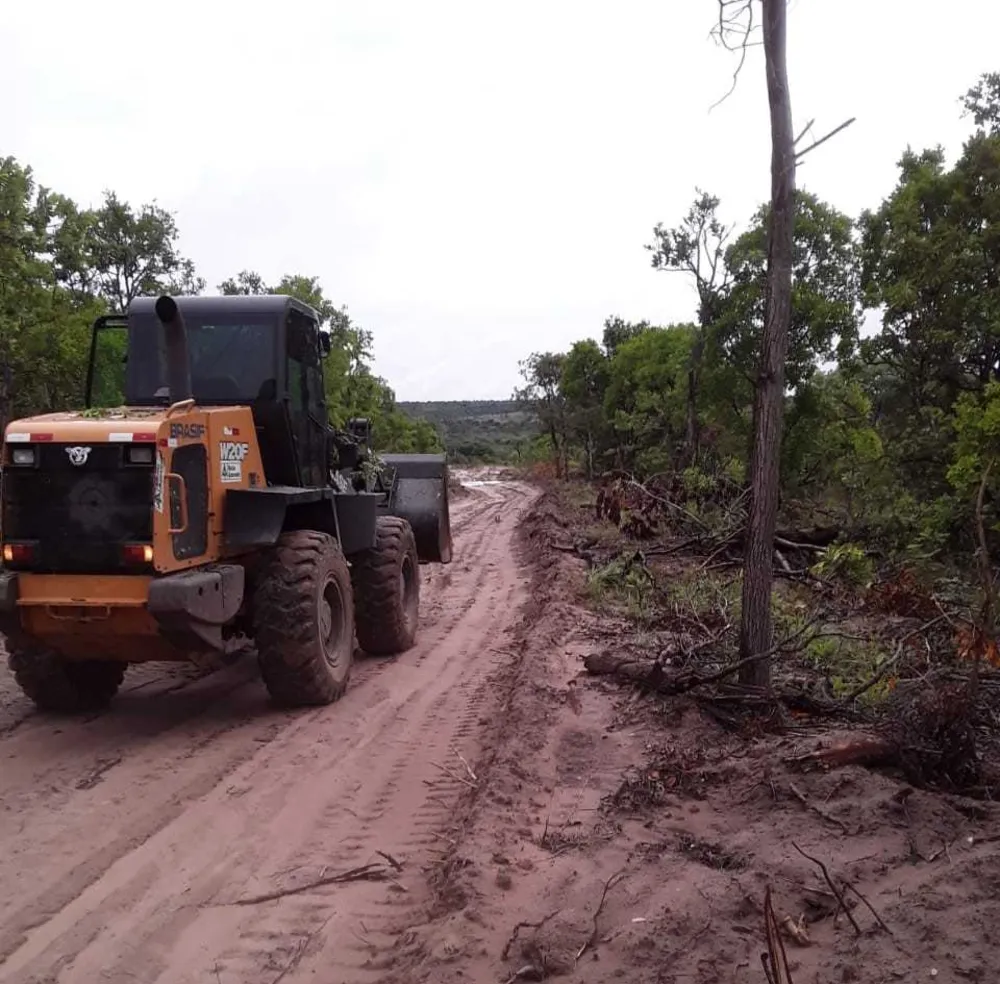 Fazenda, 1471 hectares - Foto 10