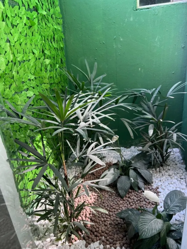 Casa, 3 quartos, 85 m² - Foto 3