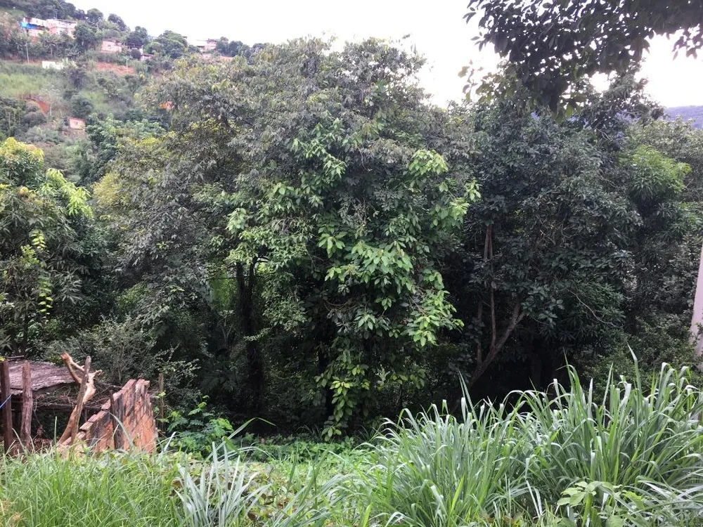 Terreno, 529 m² - Foto 8