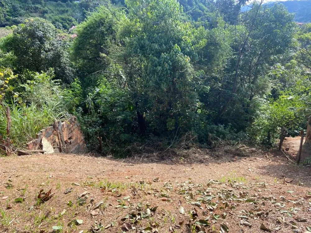Terreno, 529 m² - Foto 2
