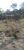 Terreno, 6500 m² - Foto 3
