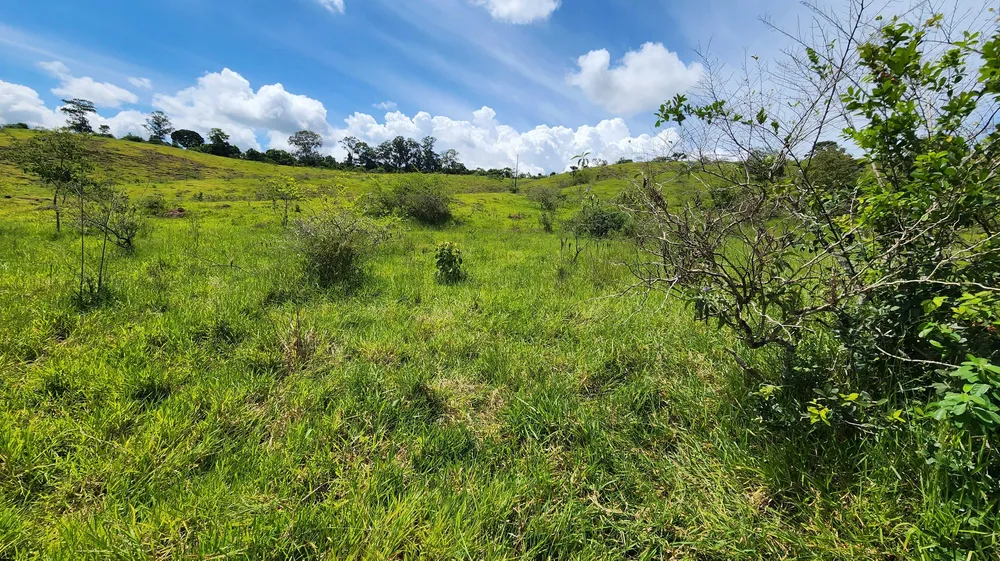 Fazenda, 121 hectares - Foto 11