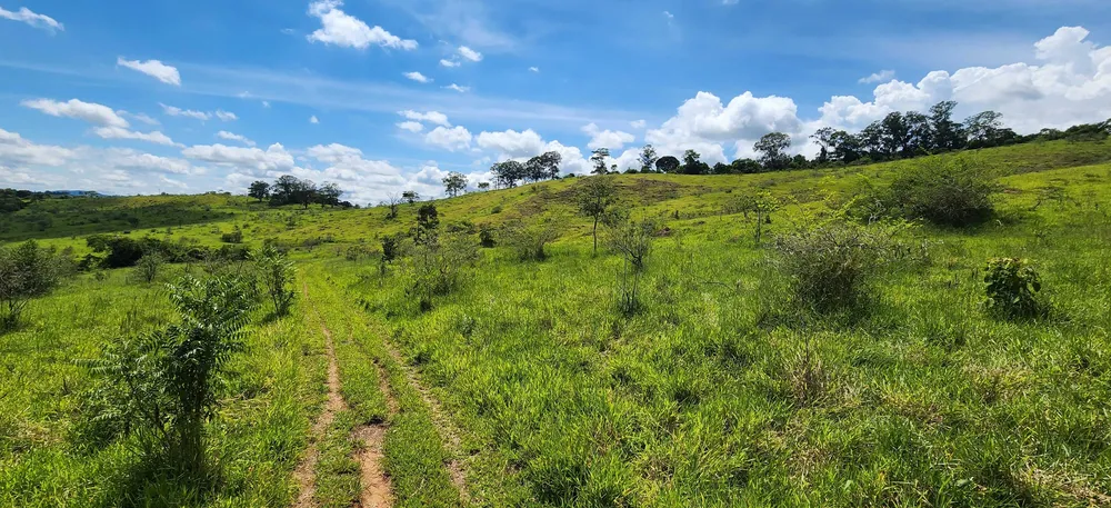 Fazenda, 121 hectares - Foto 4