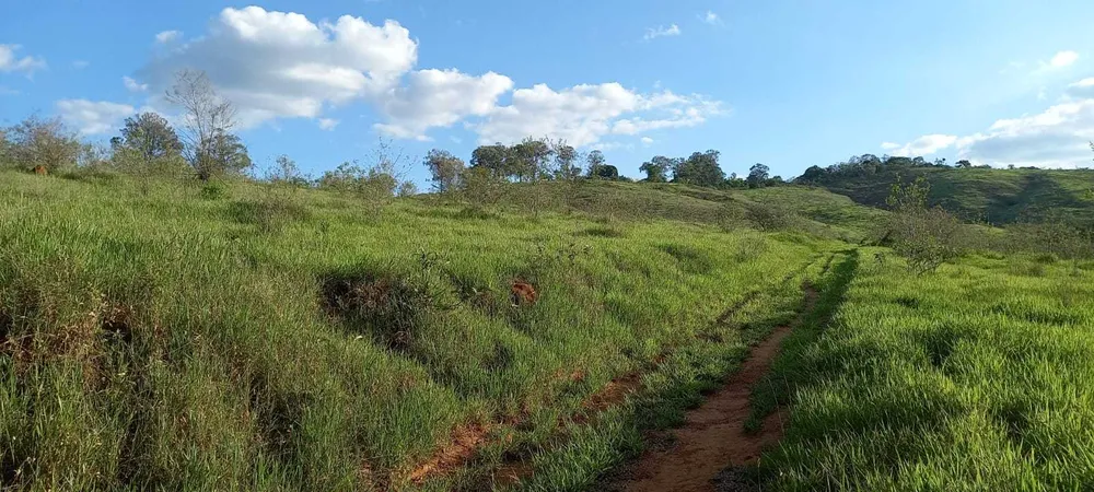 Fazenda, 121 hectares - Foto 20