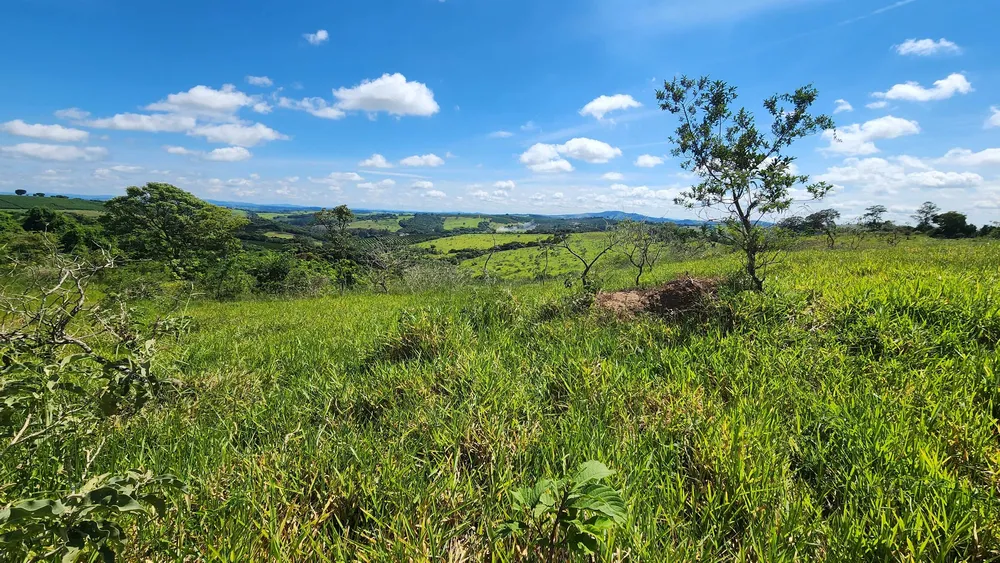 Fazenda, 121 hectares - Foto 8