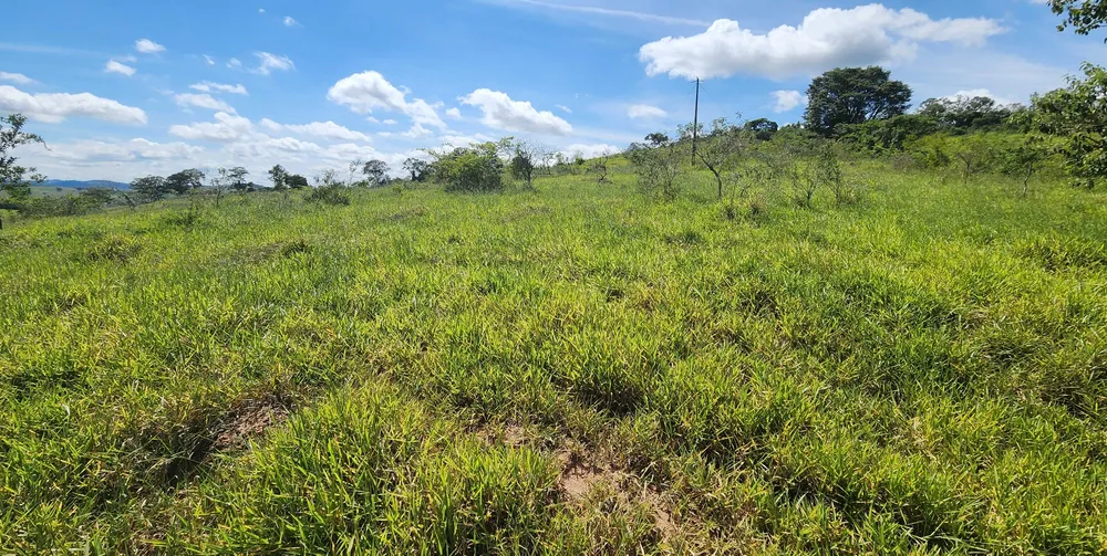 Fazenda, 121 hectares - Foto 3