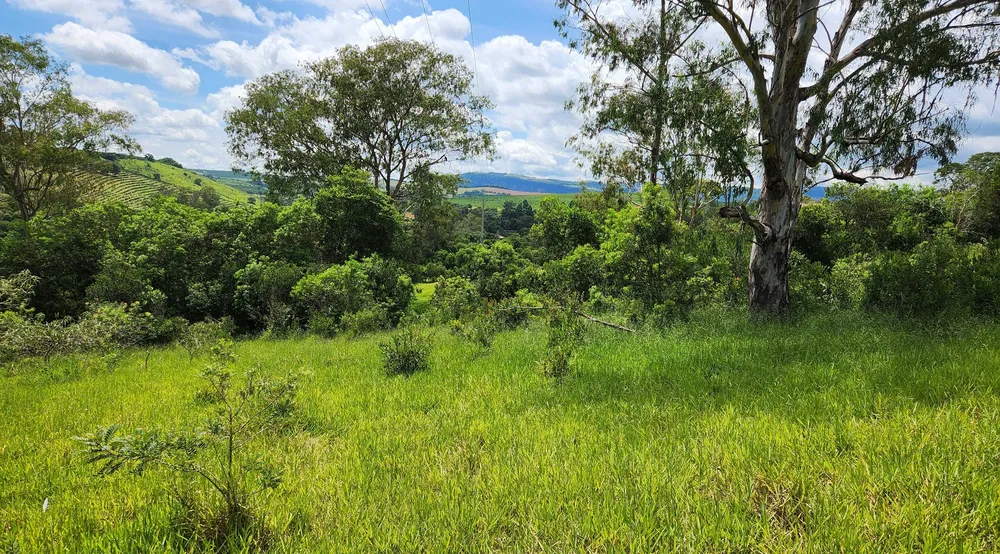 Fazenda, 121 hectares - Foto 17