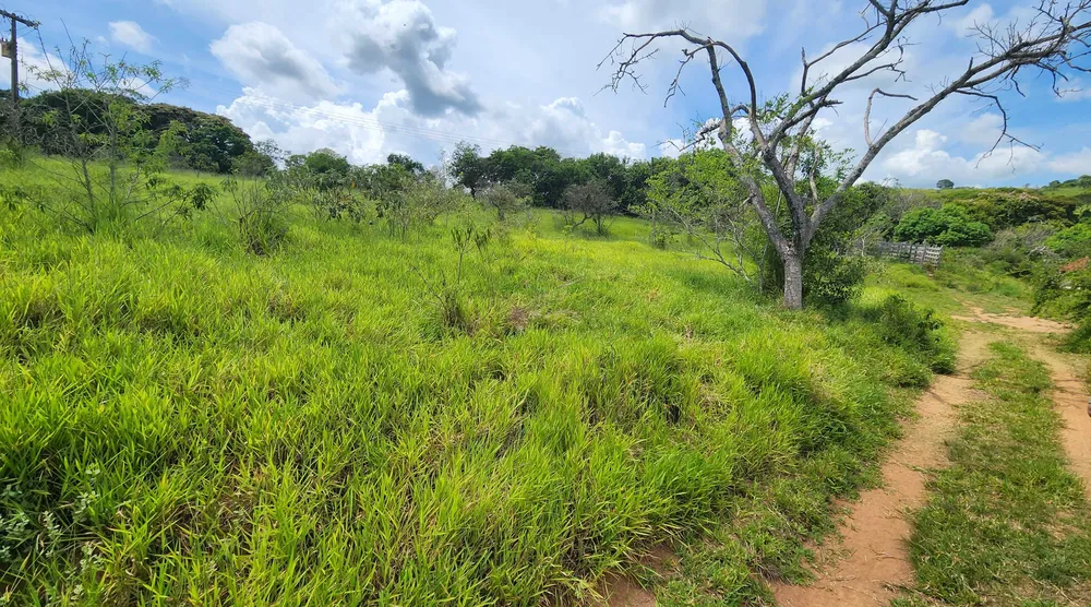 Fazenda, 121 hectares - Foto 1
