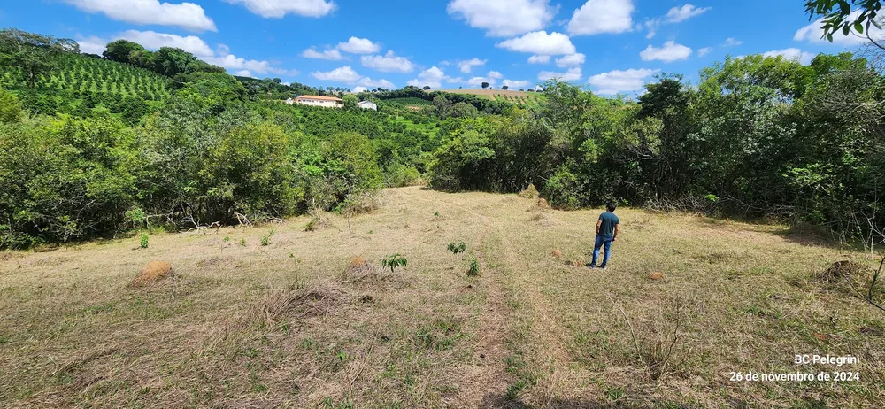 Fazenda, 121 hectares - Foto 11