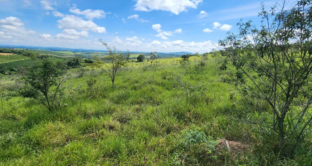 Fazenda, 121 hectares - Foto 10