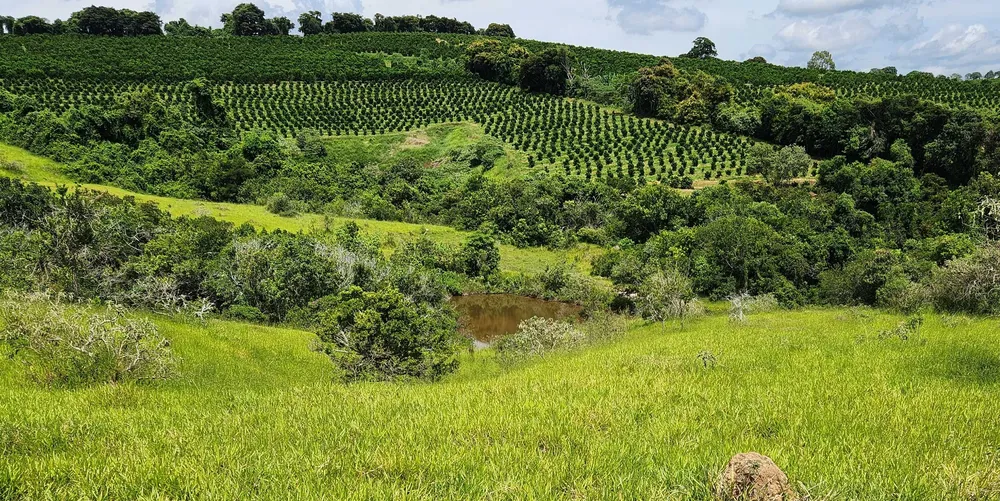 Fazenda, 121 hectares - Foto 12
