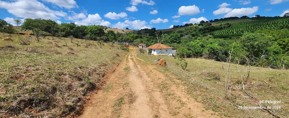 Fazenda, 121 hectares - Foto 10