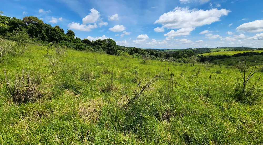 Fazenda, 121 hectares - Foto 9