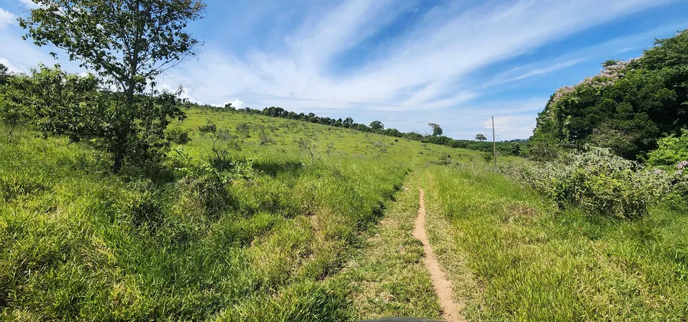 Fazenda, 121 hectares - Foto 6