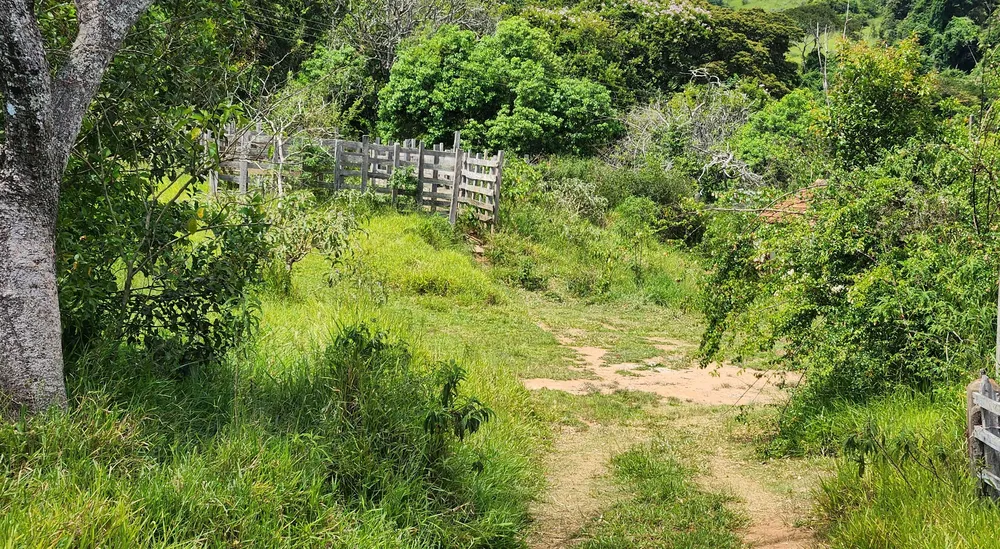 Fazenda, 121 hectares - Foto 7