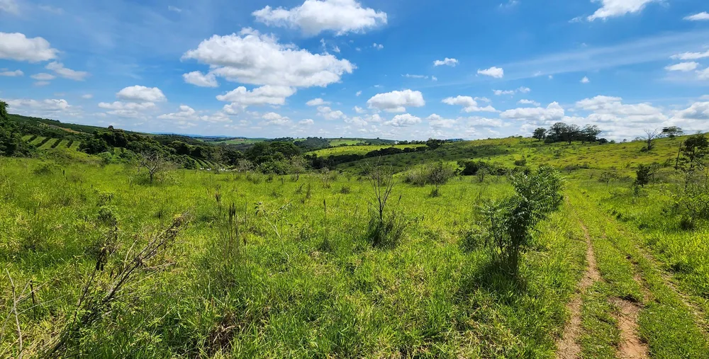 Fazenda, 121 hectares - Foto 3