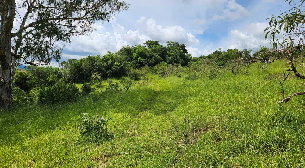Fazenda, 121 hectares - Foto 6