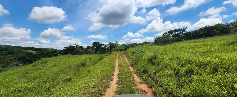 Fazenda, 121 hectares - Foto 2