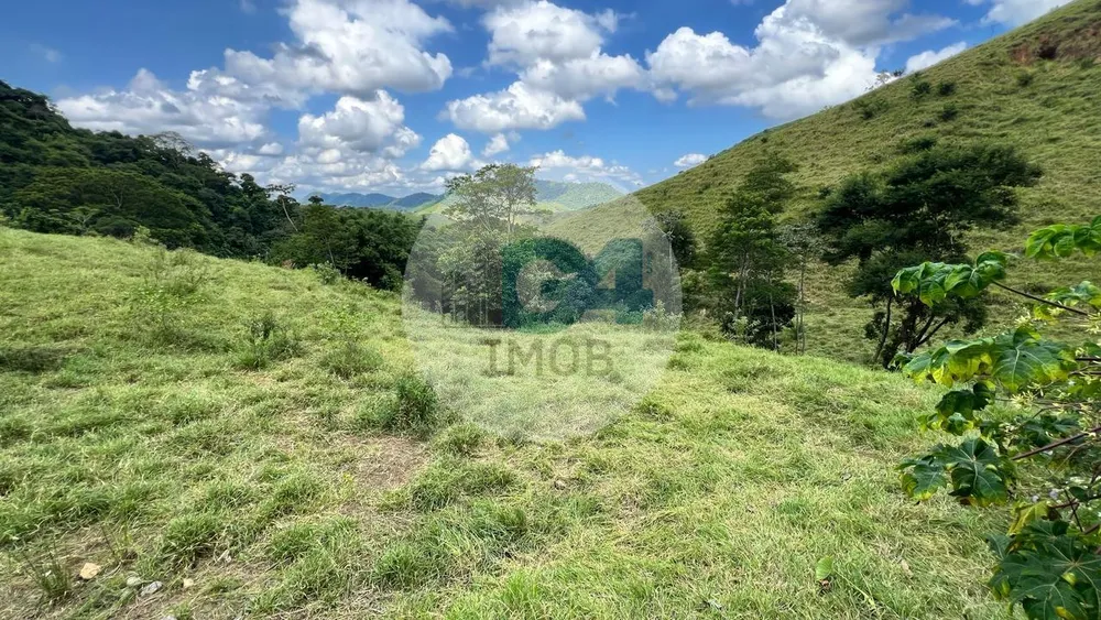 Chácara, 2 quartos, 2 hectares - Foto 23