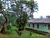 Sítio, 4 quartos, 1600 m² - Foto 1