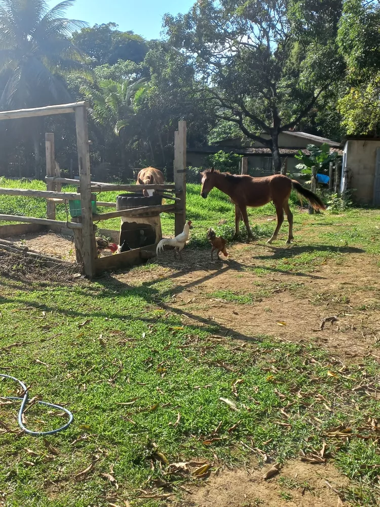 Terreno à venda, 3220m² - Foto 4