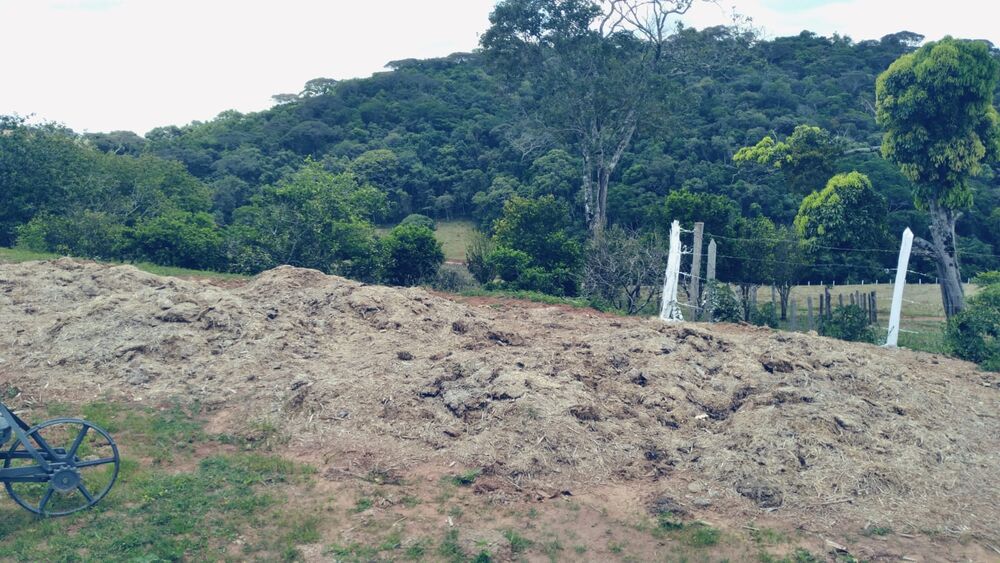 Sítio à venda com 3 quartos, 360000m² - Foto 8