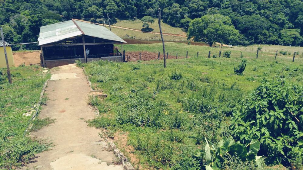 Sítio à venda com 3 quartos, 360000m² - Foto 9