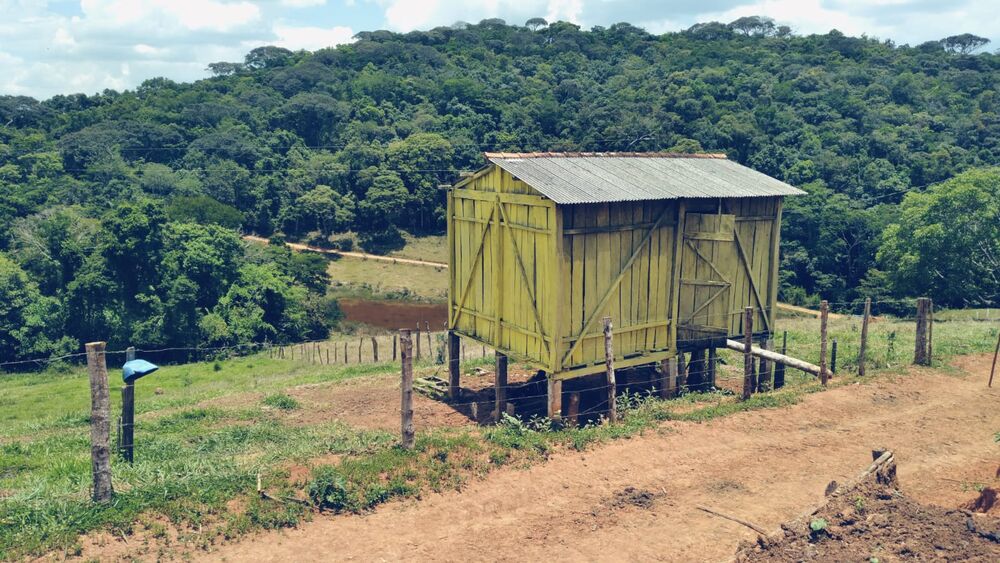 Sítio à venda com 3 quartos, 360000m² - Foto 12