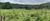 Fazenda, 712 hectares - Foto 1