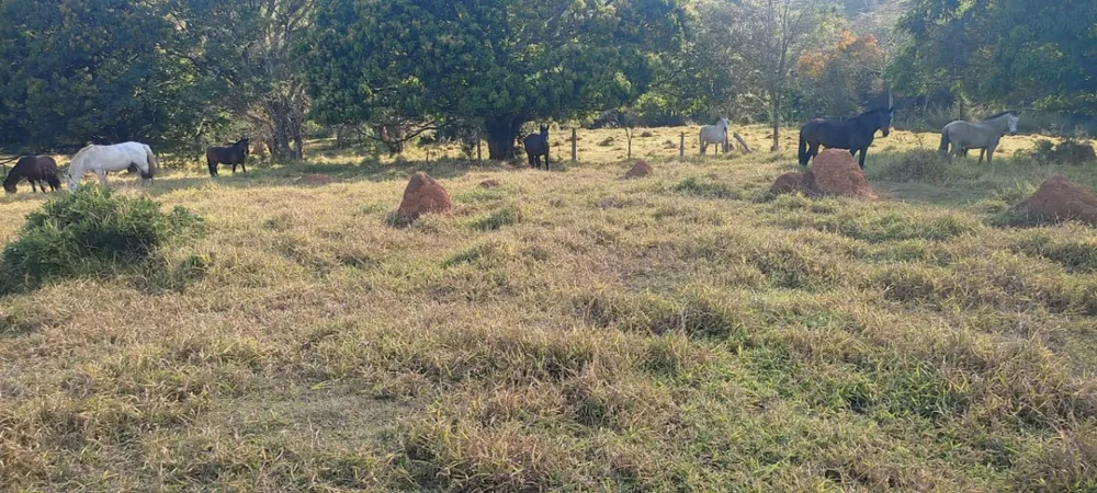 Fazenda, 1 quarto - Foto 7