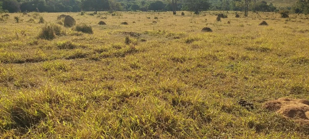 Fazenda, 1 quarto - Foto 8