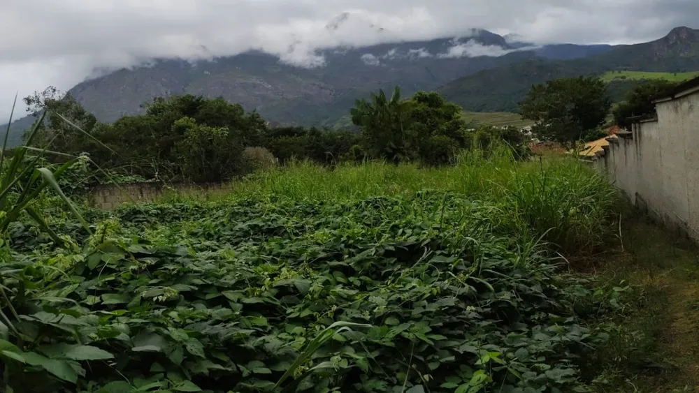 Terreno, 1800 m² - Foto 7