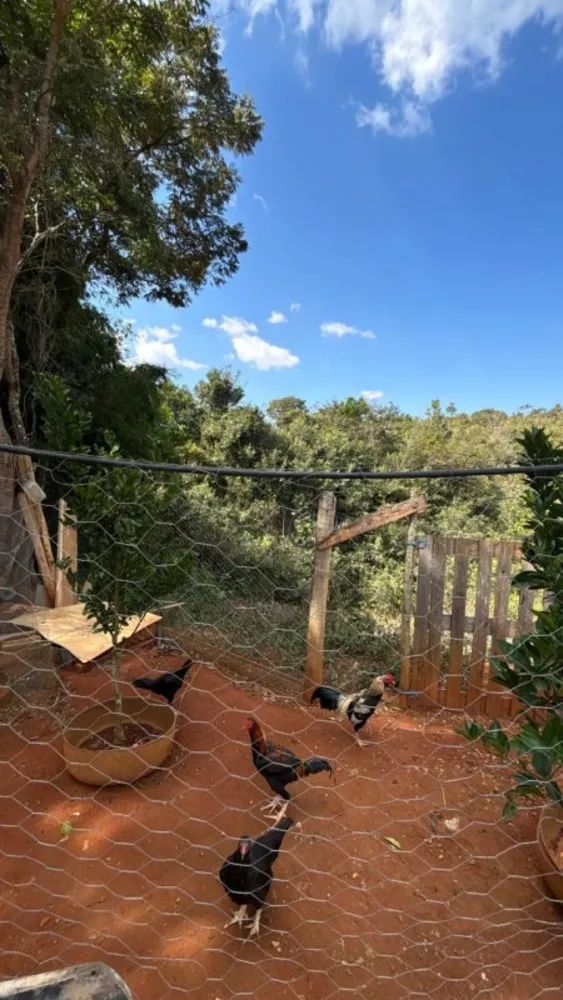 Chácara, 2 quartos, 1200 m² - Foto 19