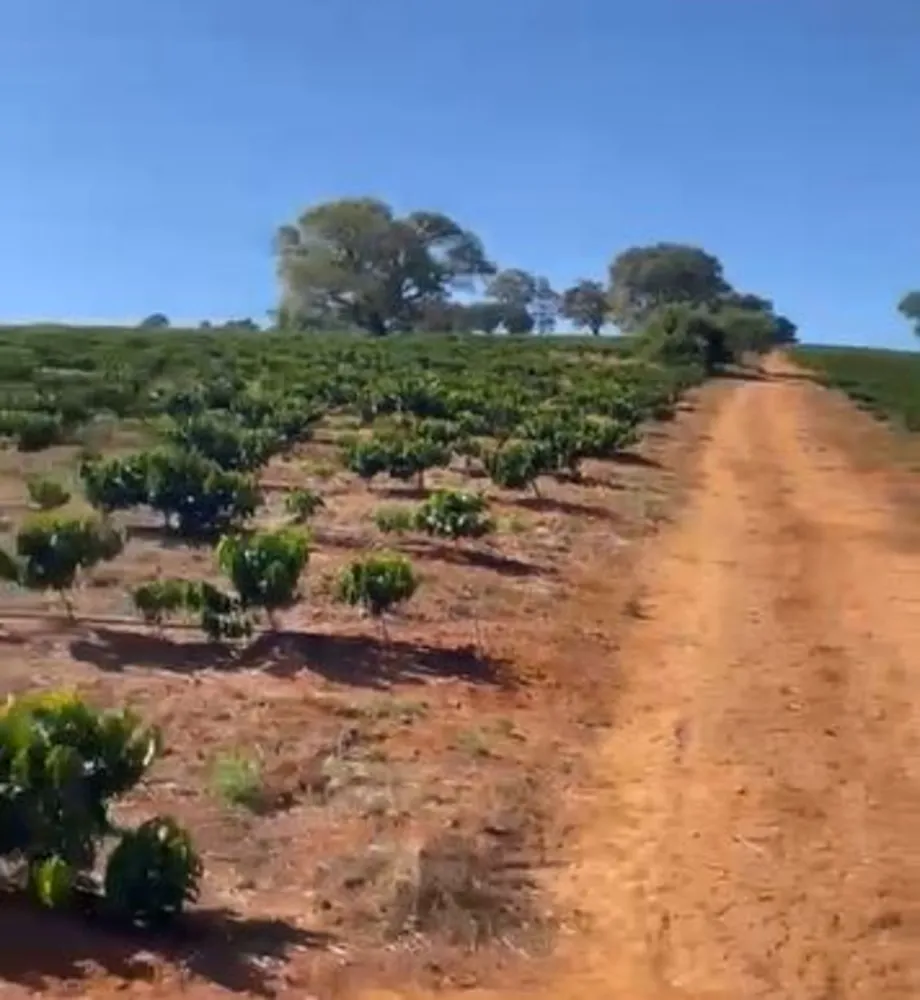 Fazenda, 113 hectares - Foto 4