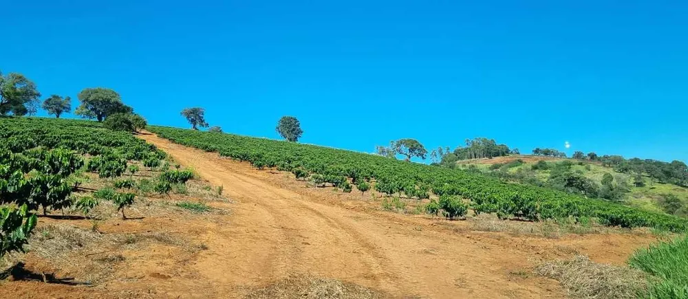 Fazenda, 113 hectares - Foto 1