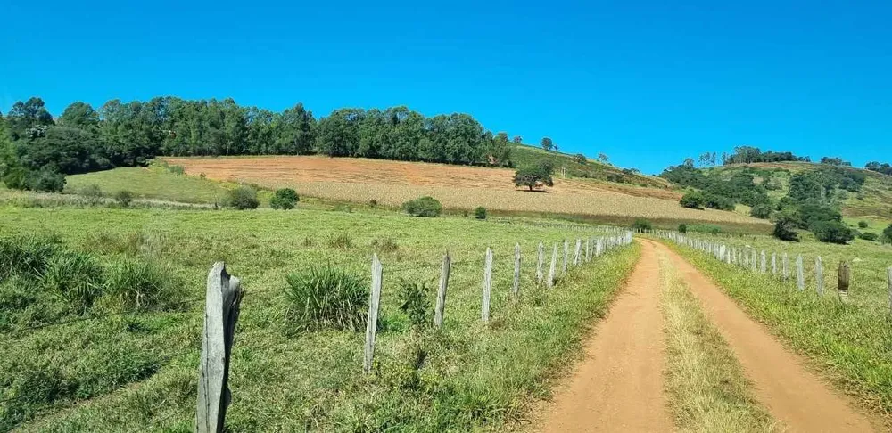 Fazenda, 113 hectares - Foto 4