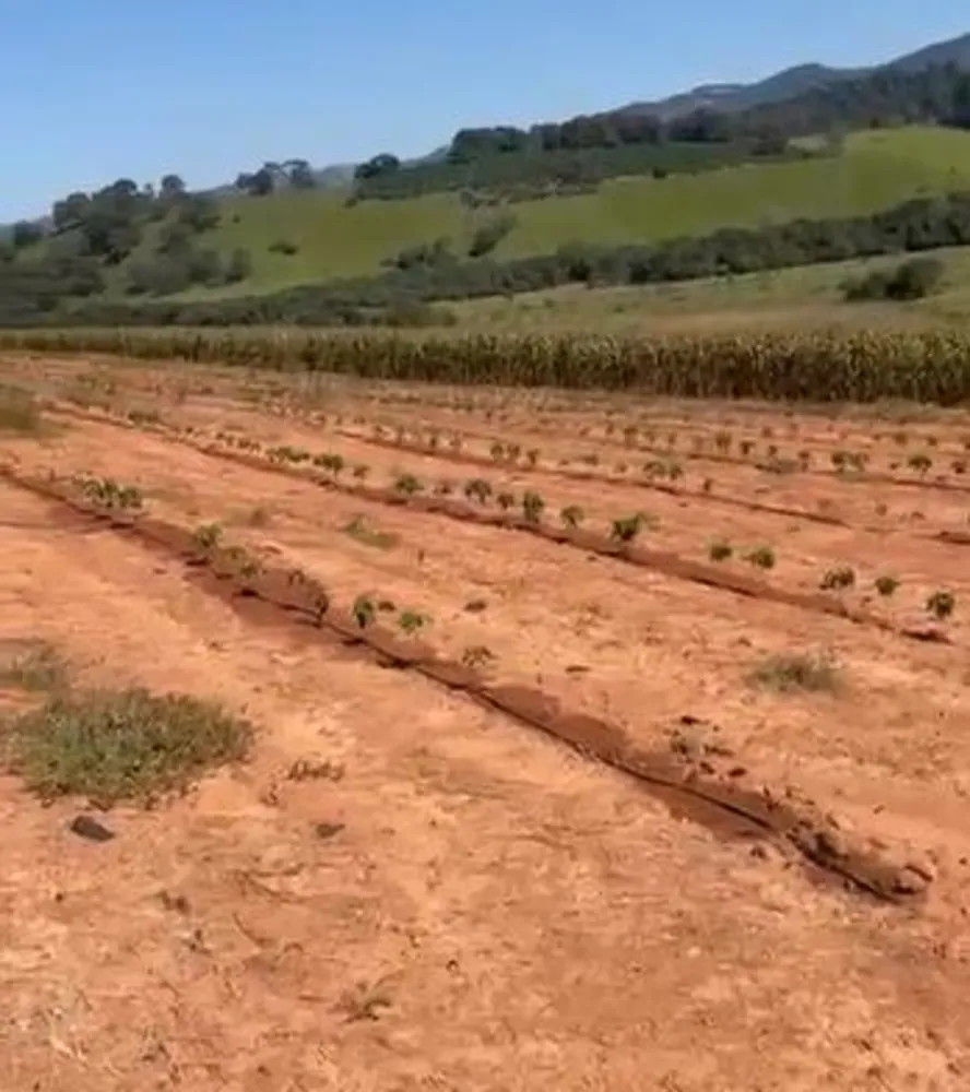 Fazenda, 113 hectares - Foto 3