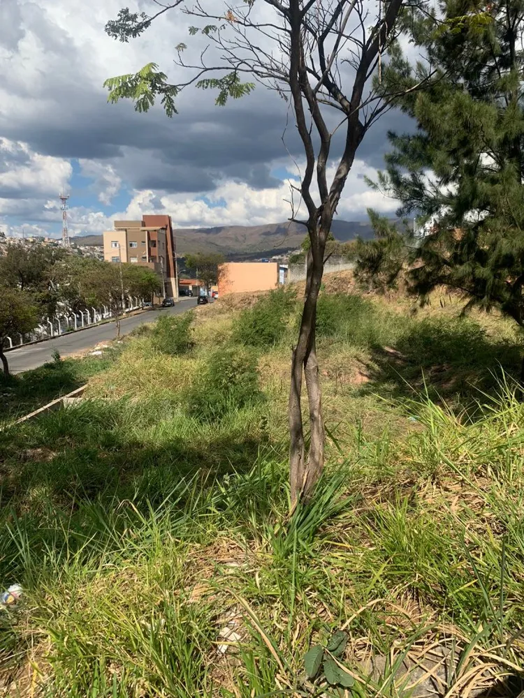 Terreno, 3600 m² - Foto 6