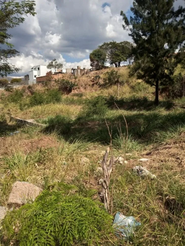 Terreno, 3600 m² - Foto 7